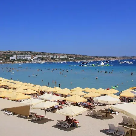Ocean Vibes - Beachfront With Pool & Bbq By 360 Estates Appartement